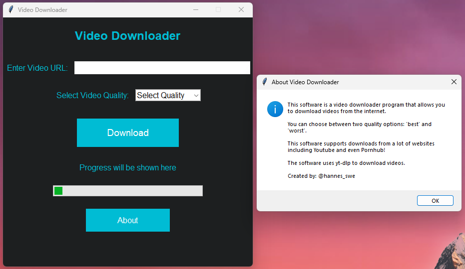 Video Downloader Product